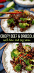 Sweet and Tangy Crispy Beef with Broccoli - 90